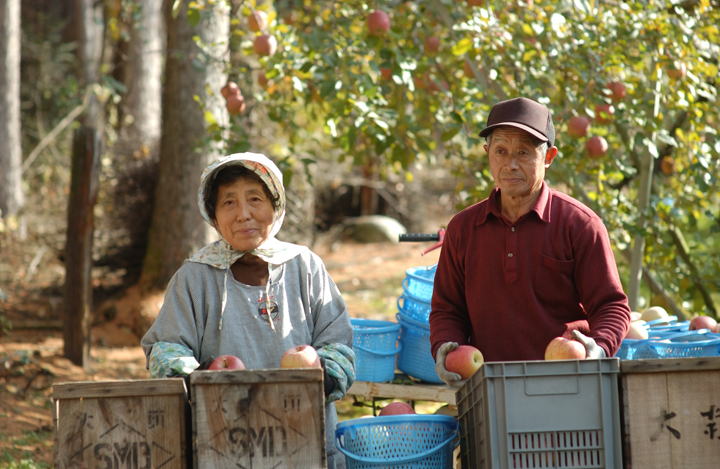 生産者さまとのタイアップ